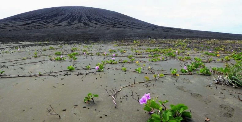 NASA: Νέο νησί του Ειρηνικού στο επίκεντρο των ερευνών της